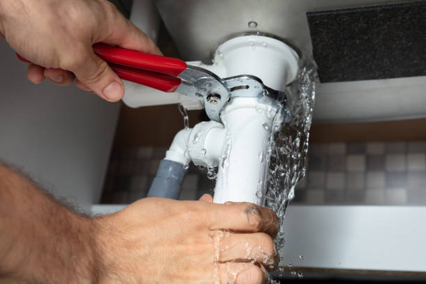 Best Fire Damage Restoration  in Waawa, HI
