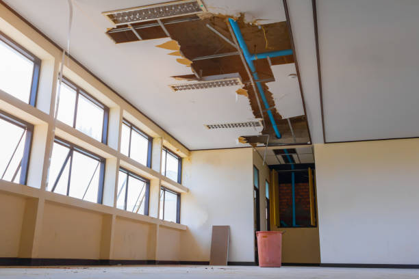 Best 24-hour water damage restoration  in Waawa, HI