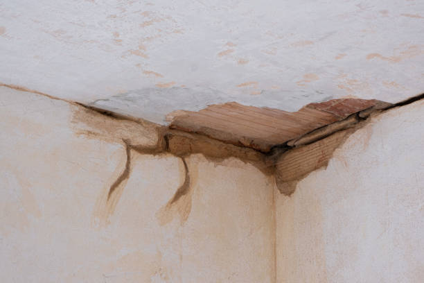 Local water damage restoration in Wahiawa, HI