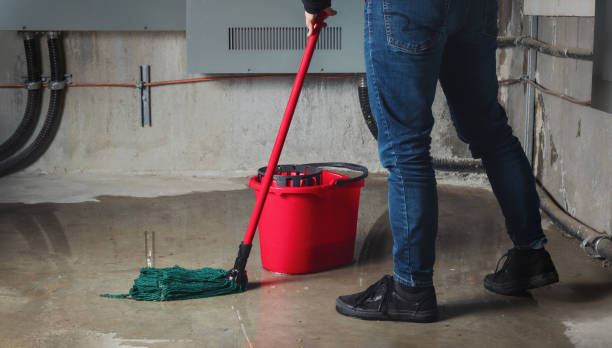 Best Water damage cleanup near me  in Waawa, HI