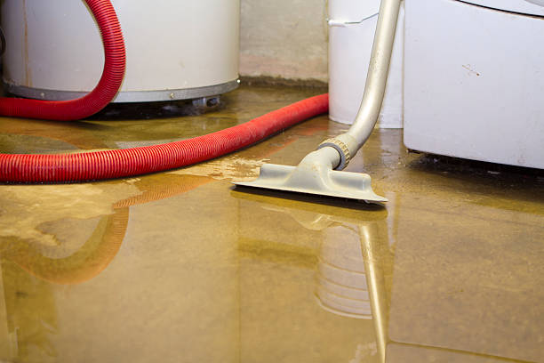 Best Mold removal after water damage  in Waawa, HI