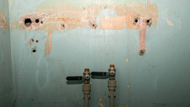 Best Mold removal after water damage  in Waawa, HI
