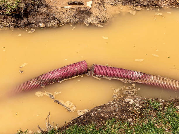 Trusted Wahiawa, HI Water damage restoration Experts